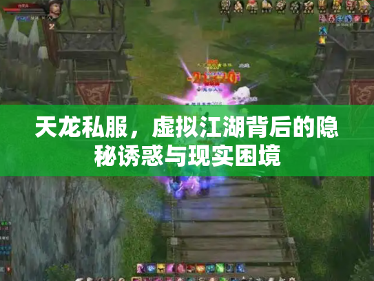 天龙私服，虚拟江湖背后的隐秘诱惑与现实困境