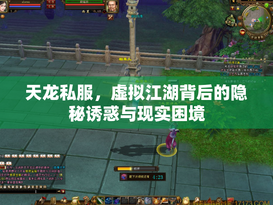天龙私服，虚拟江湖背后的隐秘诱惑与现实困境