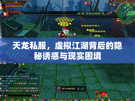 天龙私服，虚拟江湖背后的隐秘诱惑与现实困境