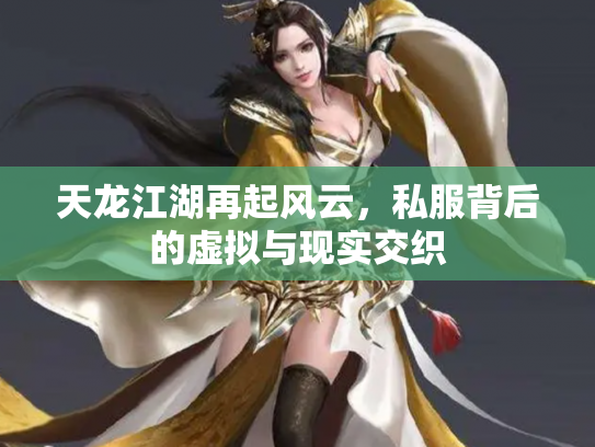 天龙江湖再起风云，私服背后的虚拟与现实交织