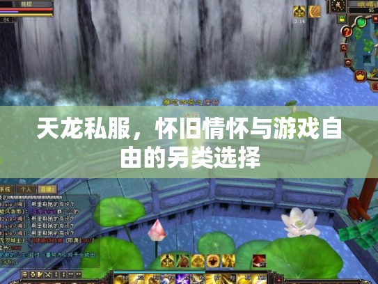 天龙私服，怀旧情怀与游戏自由的另类选择