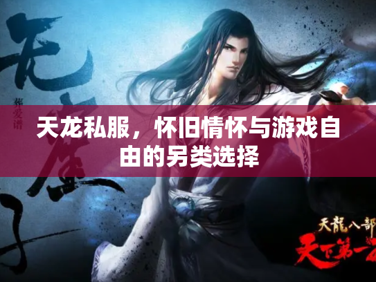 天龙私服，怀旧情怀与游戏自由的另类选择