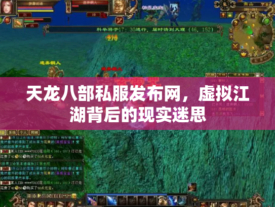 天龙八部私服发布网，虚拟江湖背后的现实迷思