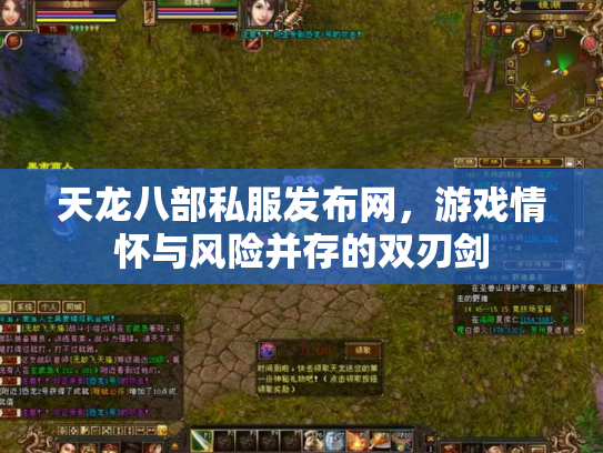 天龙八部私服发布网，游戏情怀与风险并存的双刃剑