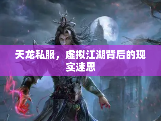 天龙私服，虚拟江湖背后的现实迷思