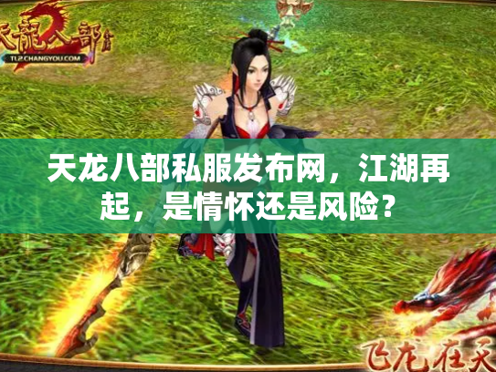 天龙八部私服发布网，江湖再起，是情怀还是风险？