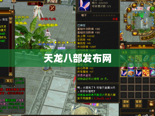 天龙八部发布网