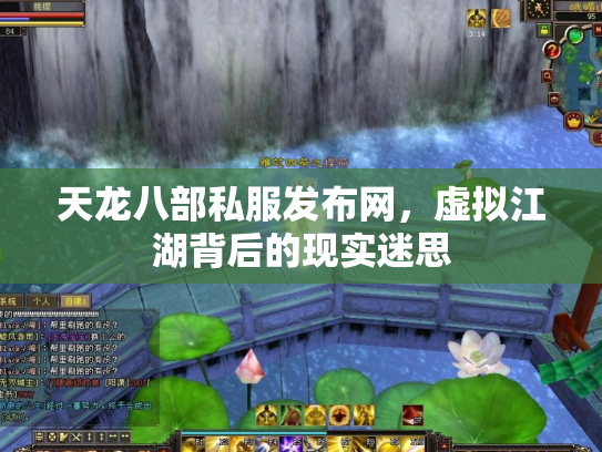 天龙八部私服发布网，虚拟江湖背后的现实迷思