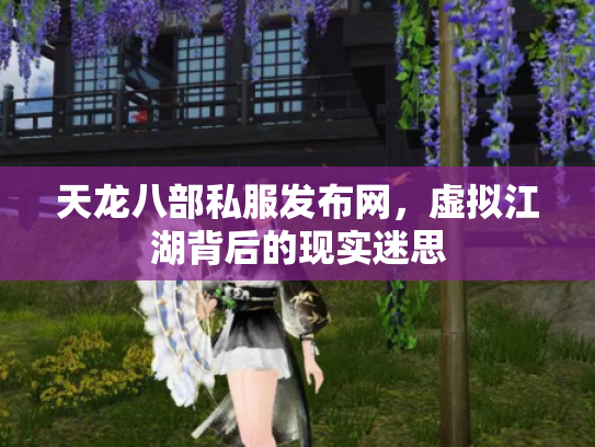 天龙八部私服发布网，虚拟江湖背后的现实迷思