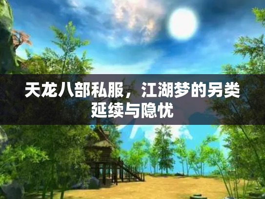 天龙八部私服，江湖梦的另类延续与隐忧