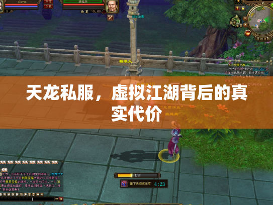 天龙私服，虚拟江湖背后的真实代价