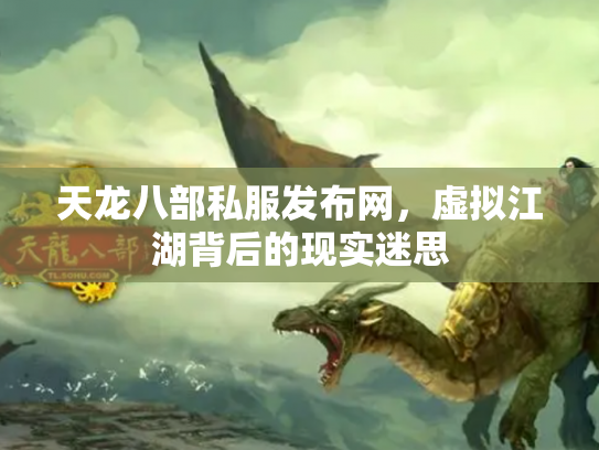 天龙八部私服发布网，虚拟江湖背后的现实迷思