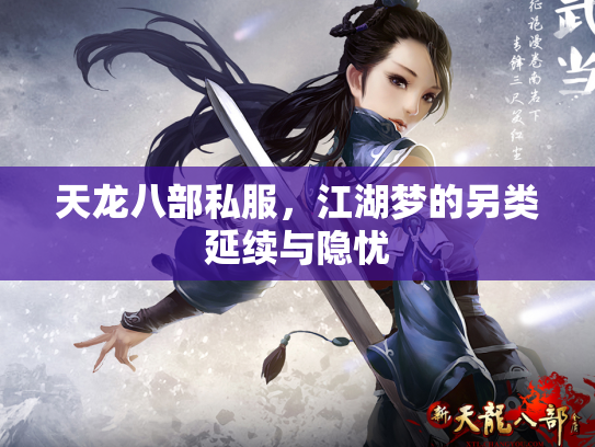 天龙八部私服，江湖梦的另类延续与隐忧