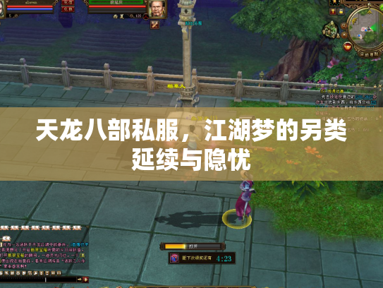 天龙八部私服，江湖梦的另类延续与隐忧