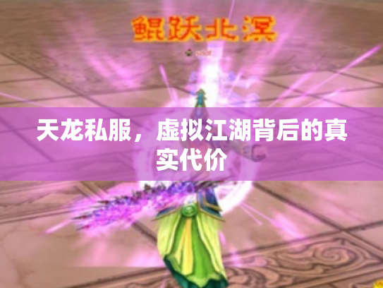 天龙私服，虚拟江湖背后的真实代价