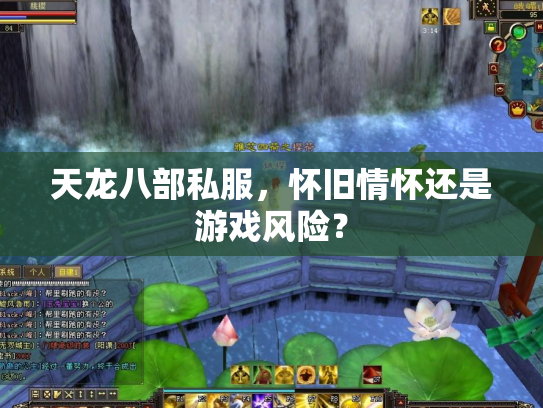 天龙八部私服，怀旧情怀还是游戏风险？