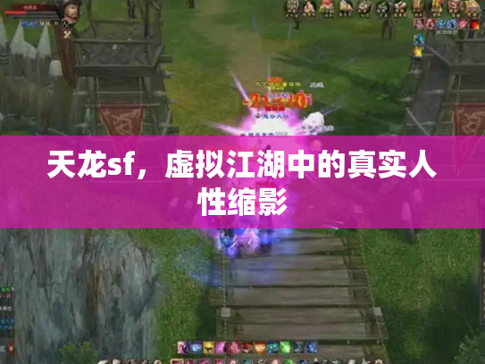 天龙sf，虚拟江湖中的真实人性缩影