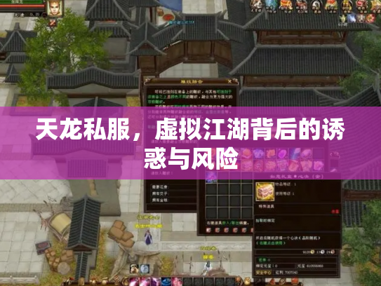 天龙私服，虚拟江湖背后的诱惑与风险
