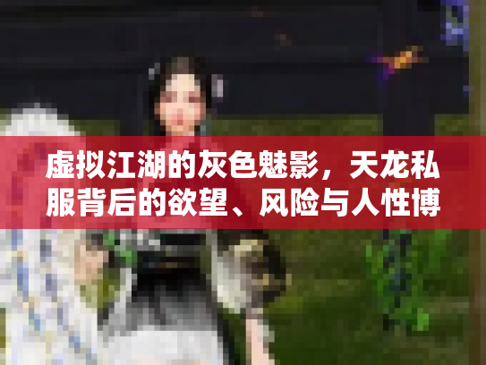 虚拟江湖的灰色魅影，天龙私服背后的欲望、风险与人性博弈