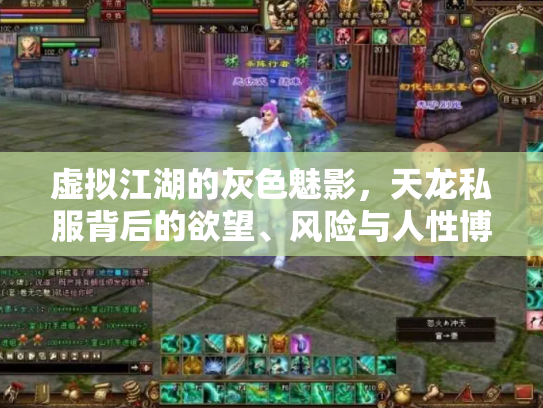 虚拟江湖的灰色魅影，天龙私服背后的欲望、风险与人性博弈