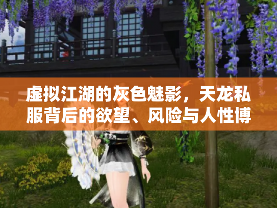 虚拟江湖的灰色魅影，天龙私服背后的欲望、风险与人性博弈