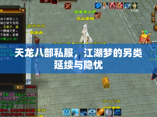 天龙八部私服，江湖梦的另类延续与隐忧