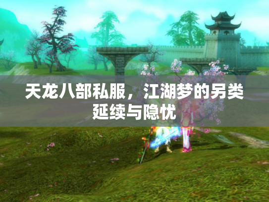 天龙八部私服，江湖梦的另类延续与隐忧