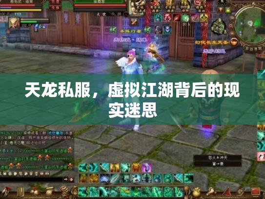 天龙私服，虚拟江湖背后的现实迷思
