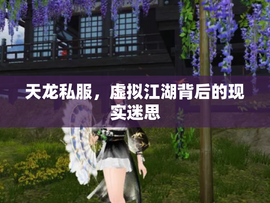 天龙私服，虚拟江湖背后的现实迷思