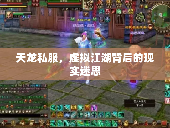 天龙私服，虚拟江湖背后的现实迷思