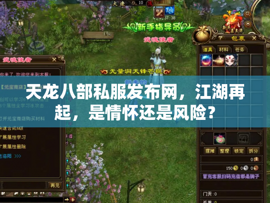 天龙八部私服发布网，江湖再起，是情怀还是风险？