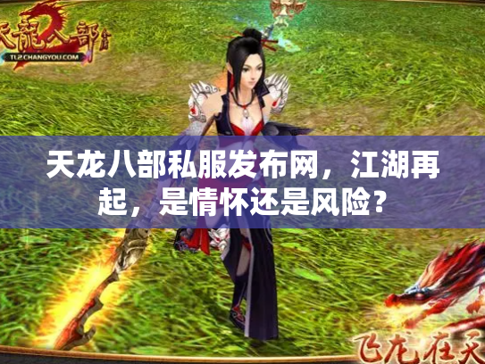 天龙八部私服发布网，江湖再起，是情怀还是风险？