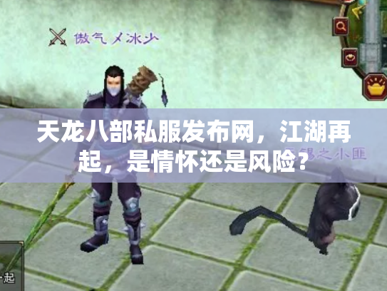 天龙八部私服发布网，江湖再起，是情怀还是风险？