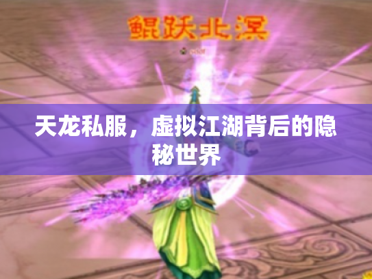 天龙私服，虚拟江湖背后的隐秘世界