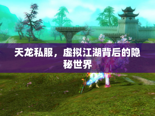 天龙私服，虚拟江湖背后的隐秘世界