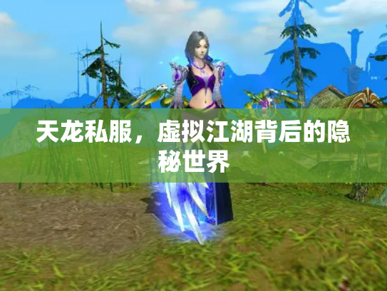 天龙私服，虚拟江湖背后的隐秘世界