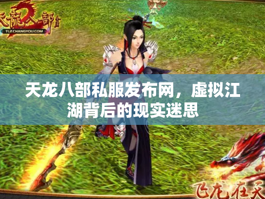 天龙八部私服发布网，虚拟江湖背后的现实迷思