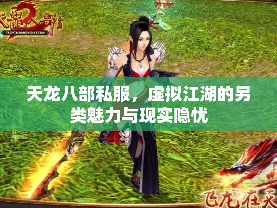 天龙八部私服，虚拟江湖的另类魅力与现实隐忧