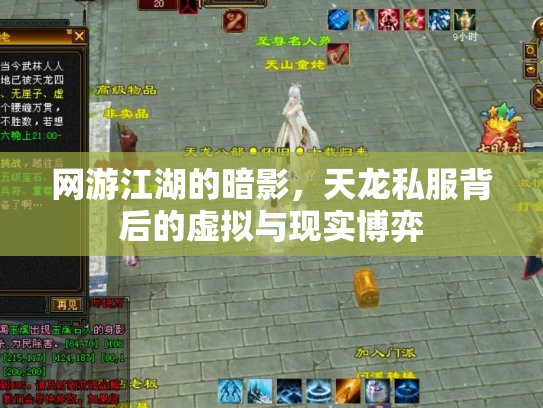 网游江湖的暗影，天龙私服背后的虚拟与现实博弈