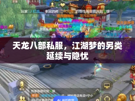 天龙八部私服，江湖梦的另类延续与隐忧