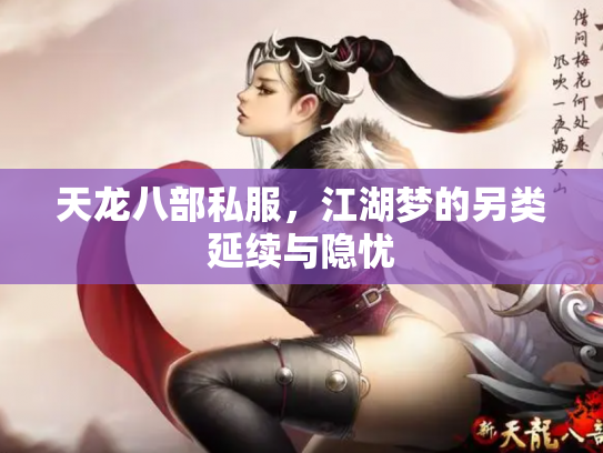 天龙八部私服，江湖梦的另类延续与隐忧
