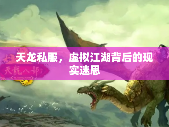 天龙私服，虚拟江湖背后的现实迷思
