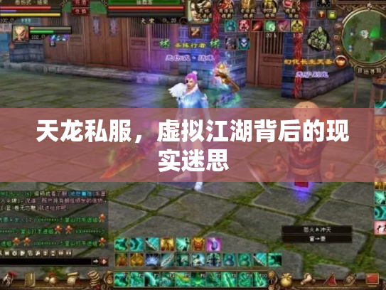 天龙私服，虚拟江湖背后的现实迷思