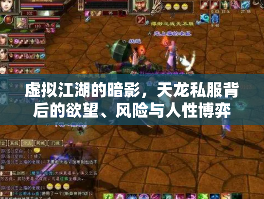 虚拟江湖的暗影，天龙私服背后的欲望、风险与人性博弈