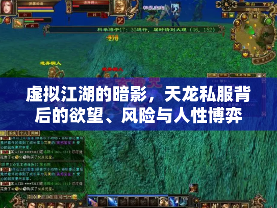 虚拟江湖的暗影，天龙私服背后的欲望、风险与人性博弈