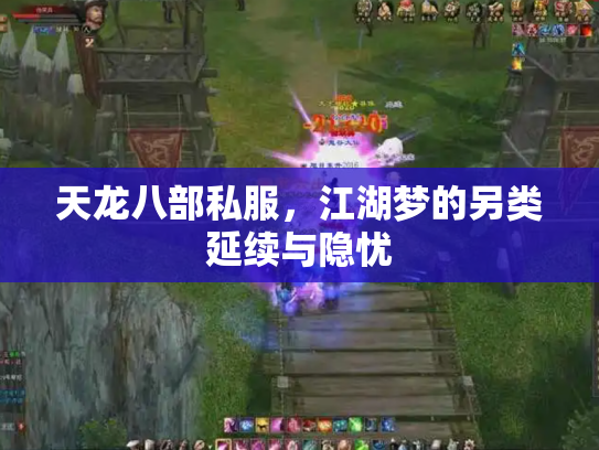天龙八部私服，江湖梦的另类延续与隐忧