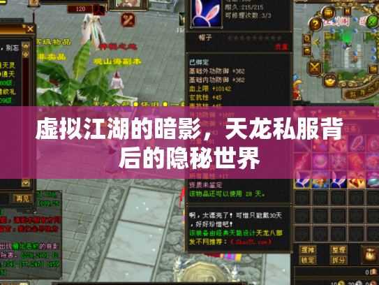 虚拟江湖的暗影，天龙私服背后的隐秘世界