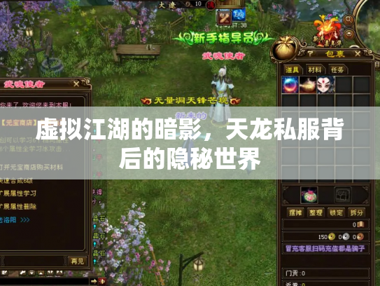 虚拟江湖的暗影，天龙私服背后的隐秘世界