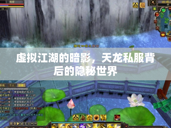 虚拟江湖的暗影，天龙私服背后的隐秘世界
