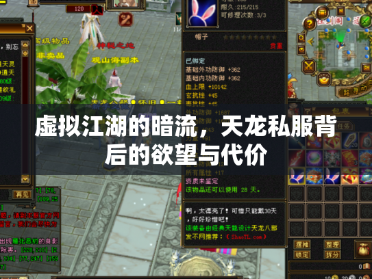 虚拟江湖的暗流，天龙私服背后的欲望与代价
